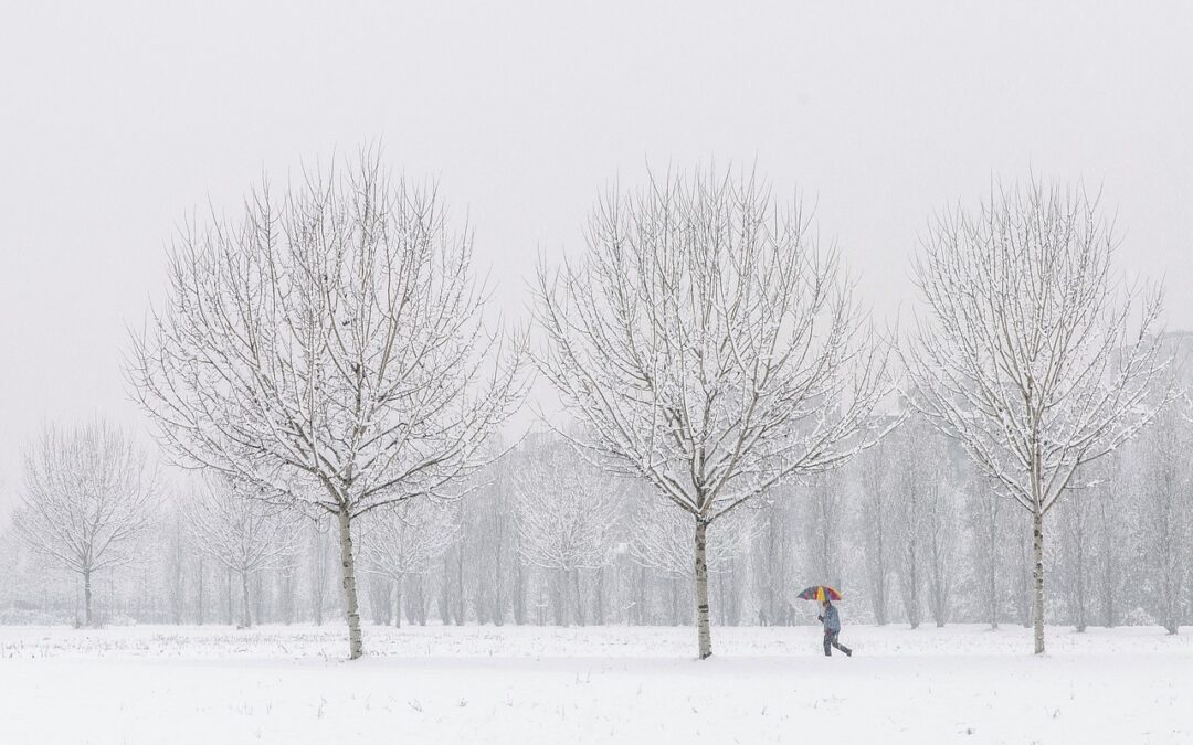 Winterblues adé – wie du deine mentale Gesundheit stärken kannst